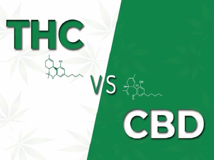 Cbd e Thc: cosa sono e che differenza c'è?